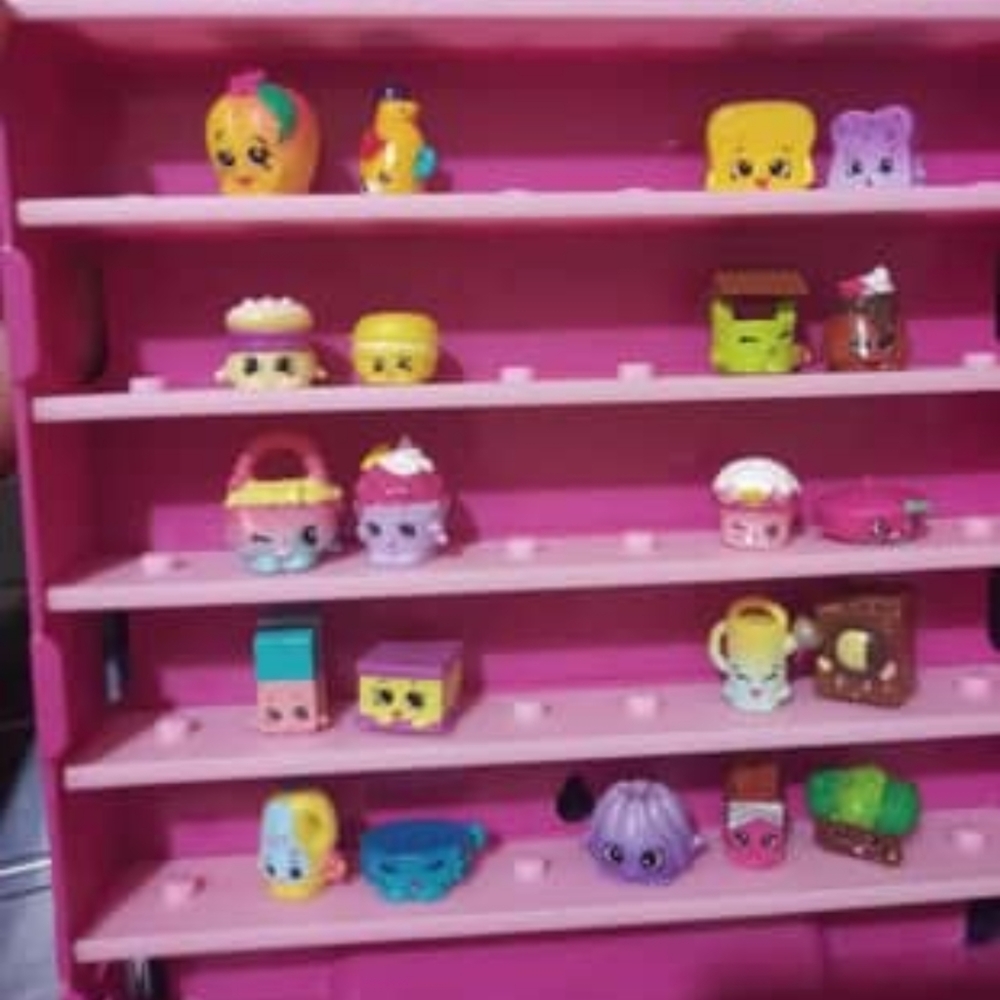 Shopkins and shopkins case